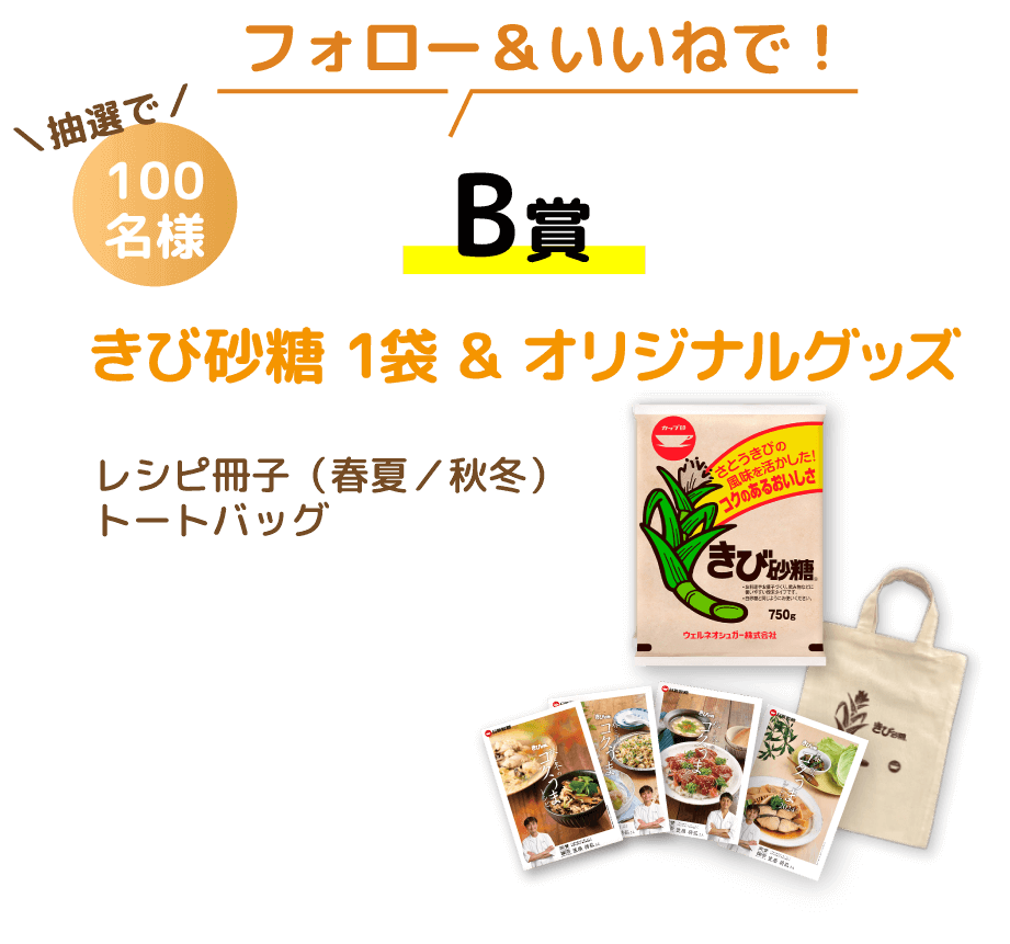 フォロー＆いいねで！抽選で／100名様 B賞 きび砂糖 1袋＆オリジナルグッズレシピ冊子（春夏／秋冬）トートバッグ